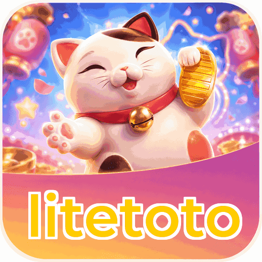 Screenshot 3 - litetoto Settings